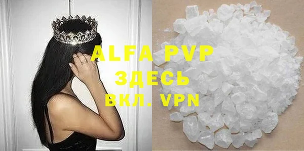 индика Вяземский
