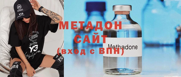 индика Вяземский