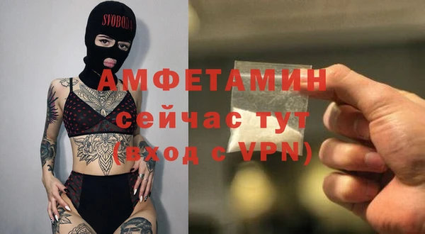 прущие грибы Сясьстрой