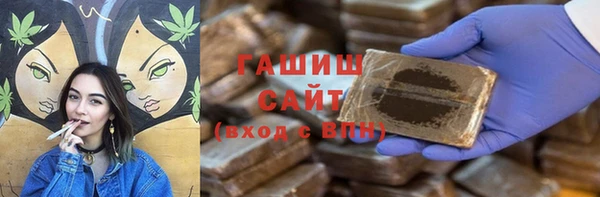 индика Вяземский