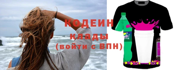 индика Вяземский