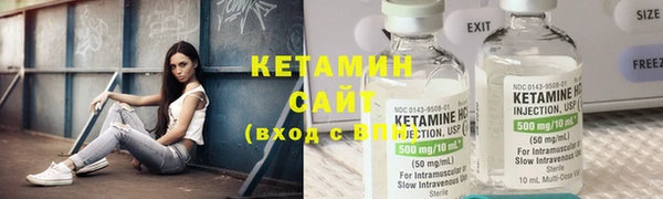 индика Вяземский