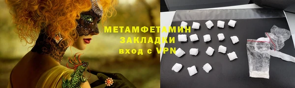индика Вяземский
