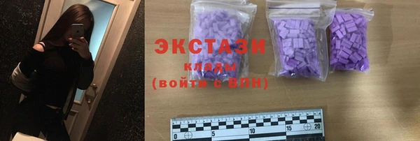 индика Вяземский