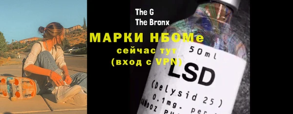 индика Вяземский