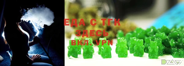 индика Вяземский