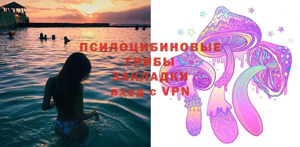 индика Вяземский