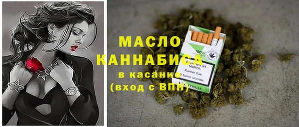 индика Вяземский