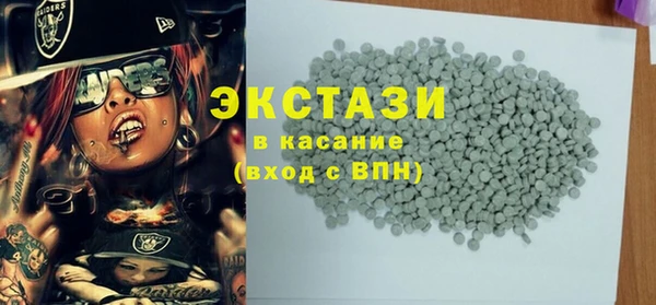 индика Вяземский