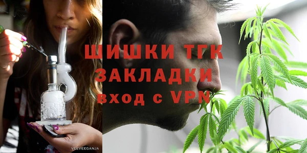 индика Вяземский