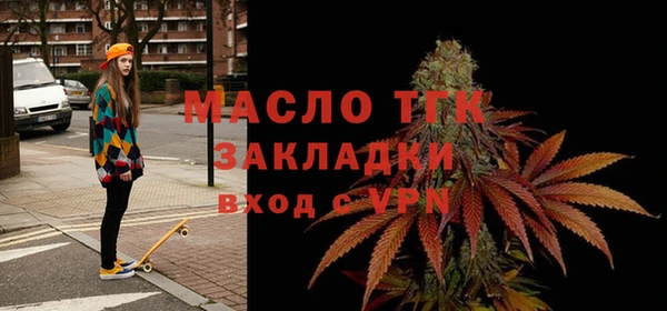 индика Вяземский