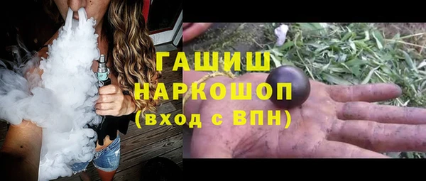 индика Вяземский
