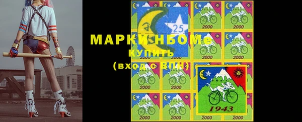 индика Вяземский