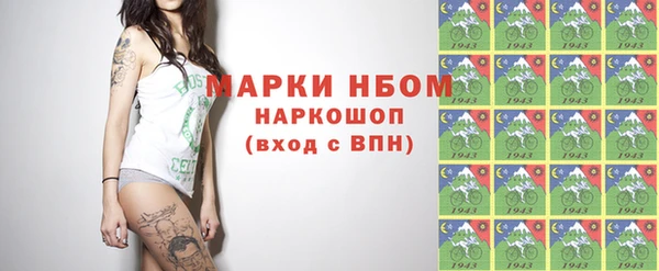 индика Вяземский