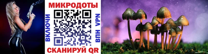 Галлюциногенные грибы Magic Shrooms  что такое   Нижний Тагил 