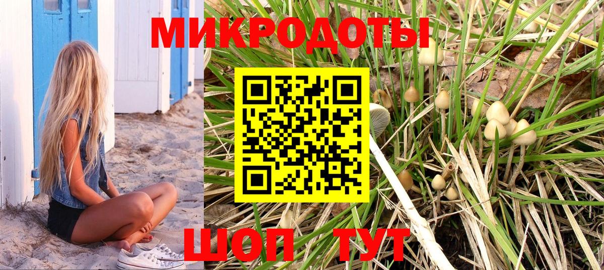 Псилоцибиновые грибы мухоморы Нижний Тагил