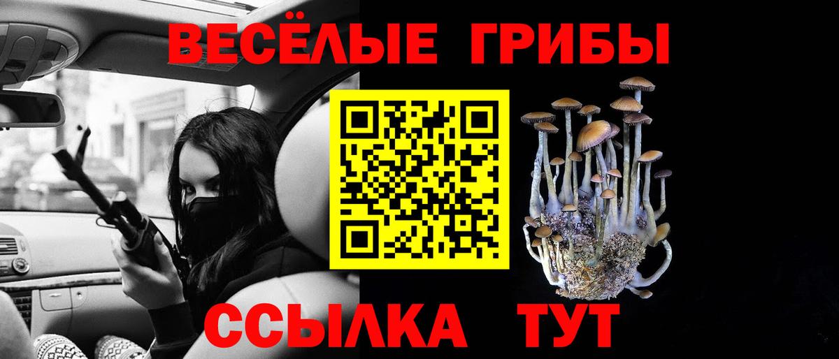 Нижний Тагил  Псилоцибиновые грибы GOLDEN TEACHER  Вход с VPN 